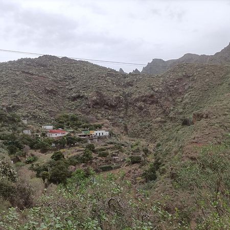 سانتا كروز دي تينيريف Tenerife المظهر الخارجي الصورة