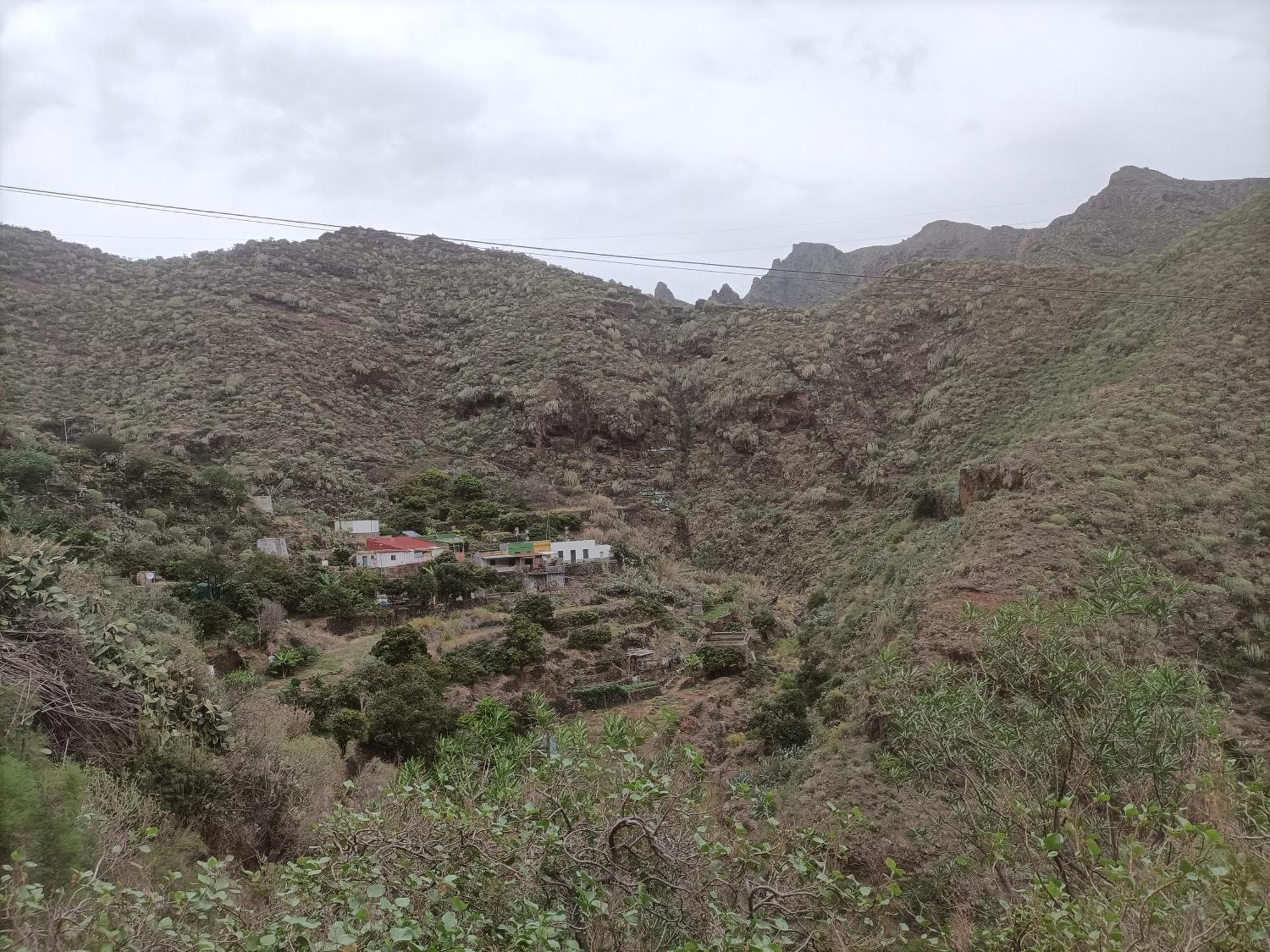 سانتا كروز دي تينيريف Tenerife المظهر الخارجي الصورة