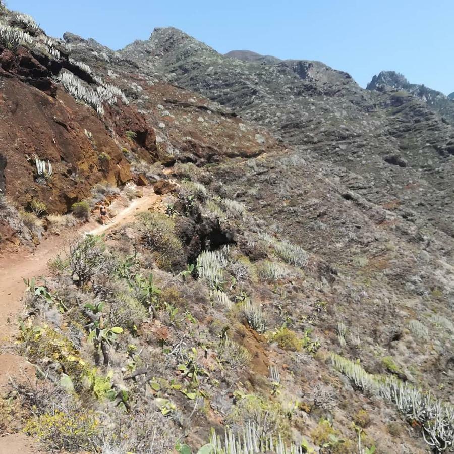 سانتا كروز دي تينيريف Tenerife المظهر الخارجي الصورة