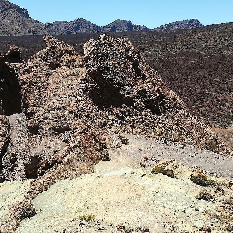 سانتا كروز دي تينيريف Tenerife المظهر الخارجي الصورة