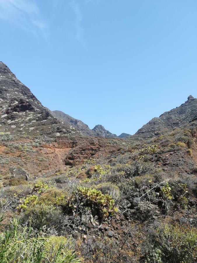سانتا كروز دي تينيريف Tenerife المظهر الخارجي الصورة
