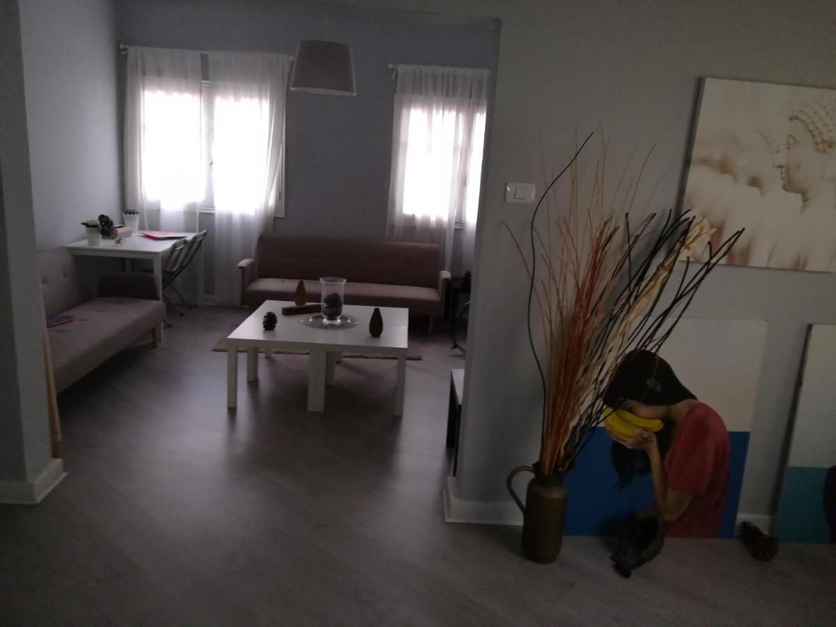 سانتا كروز دي تينيريف Tenerife المظهر الخارجي الصورة
