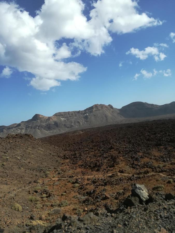 سانتا كروز دي تينيريف Tenerife المظهر الخارجي الصورة