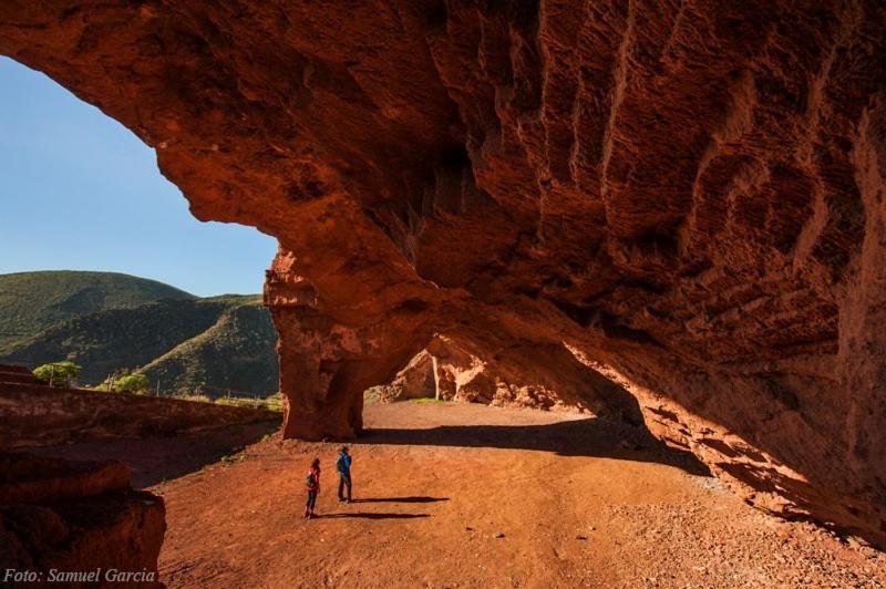سانتا كروز دي تينيريف Tenerife المظهر الخارجي الصورة